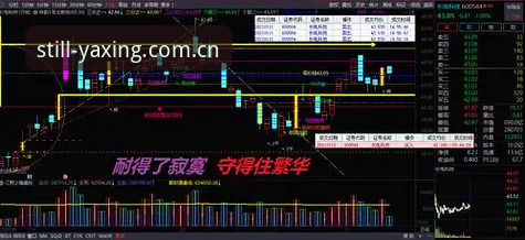 揭秘亚星中国会员登录：一个70后玩家的实战手记